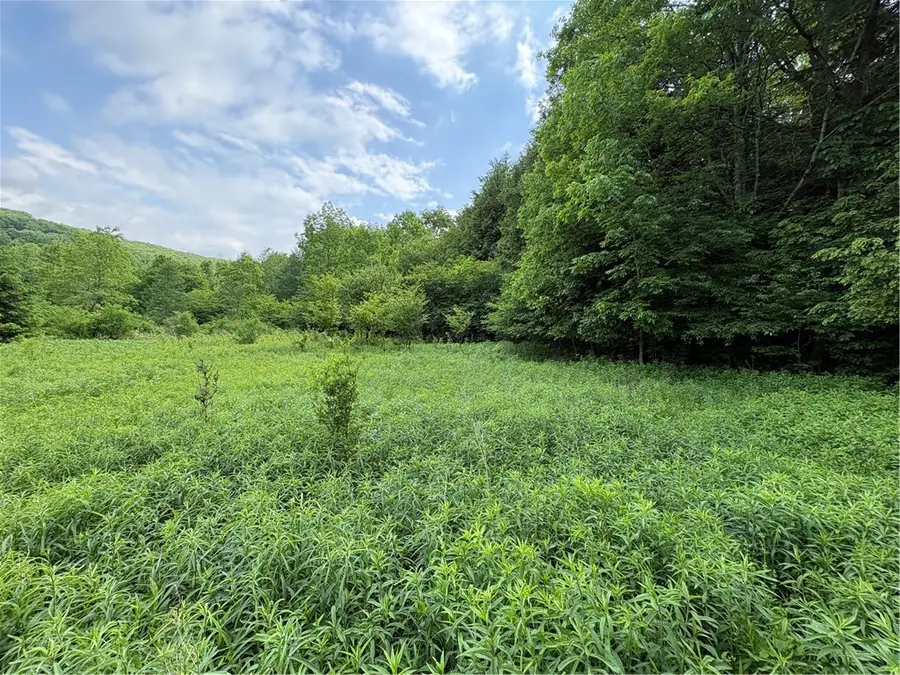 Stage Road, South Otselic, NY 13155 - #3