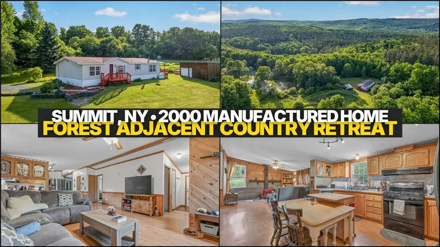 171 Rossman Hill Road, Summit, NY 12175 - #2