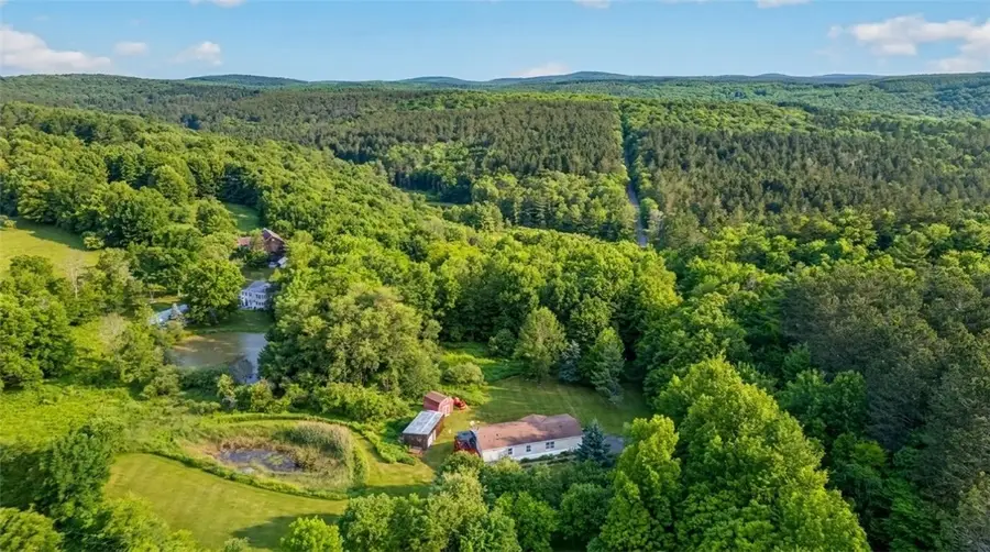 171 Rossman Hill Road, Summit, NY 12175 - #3