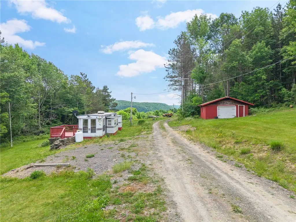 151 Lookout Drive, Charlotteville, NY 12036 - #1