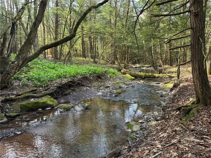 Lot 2 Oregon Road, Gilbertsville, NY 13776 - #2