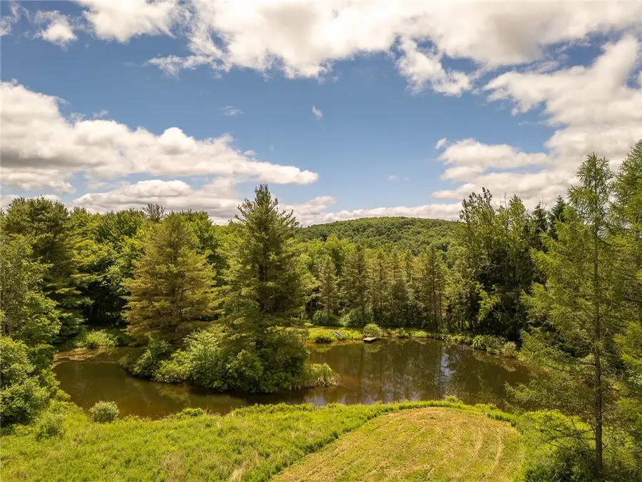 1260 W Peakes Brook Road, Delhi, NY 13753 - #2