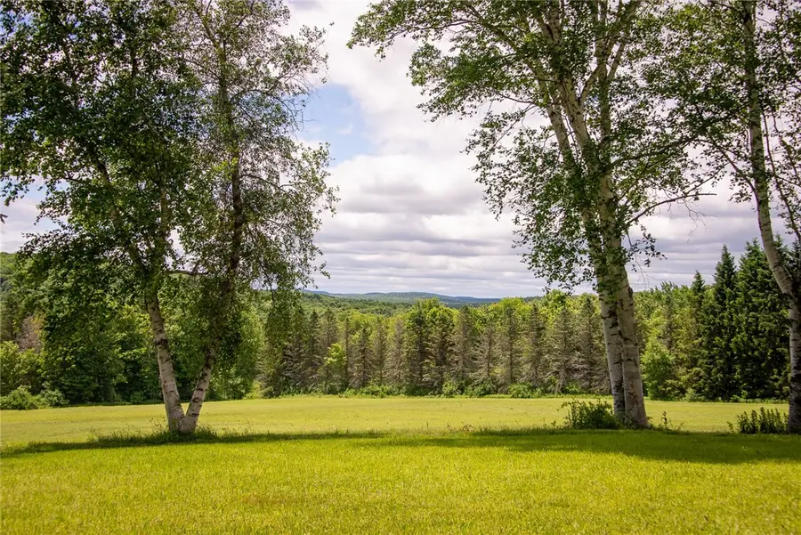 1260 W Peakes Brook Road, Delhi, NY 13753 - #3
