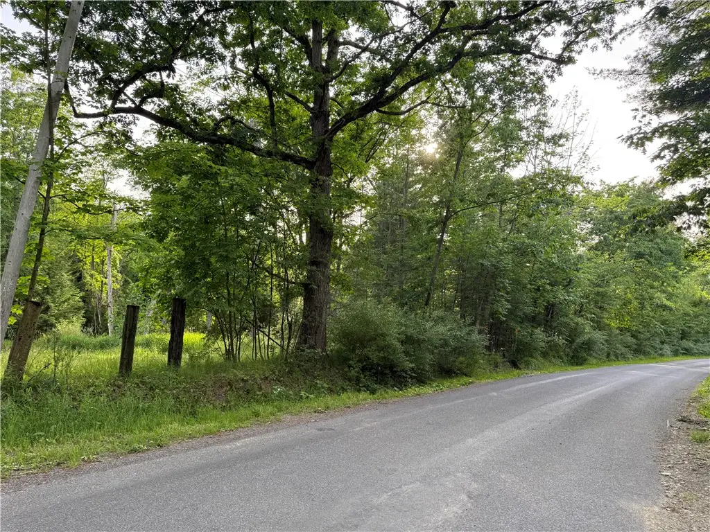 Cronk Hill Road, Fillmore, NY 14735 - #1