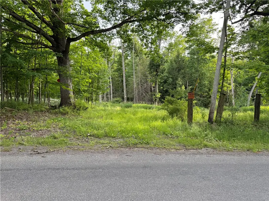 Cronk Hill Road, Fillmore, NY 14735 - #2
