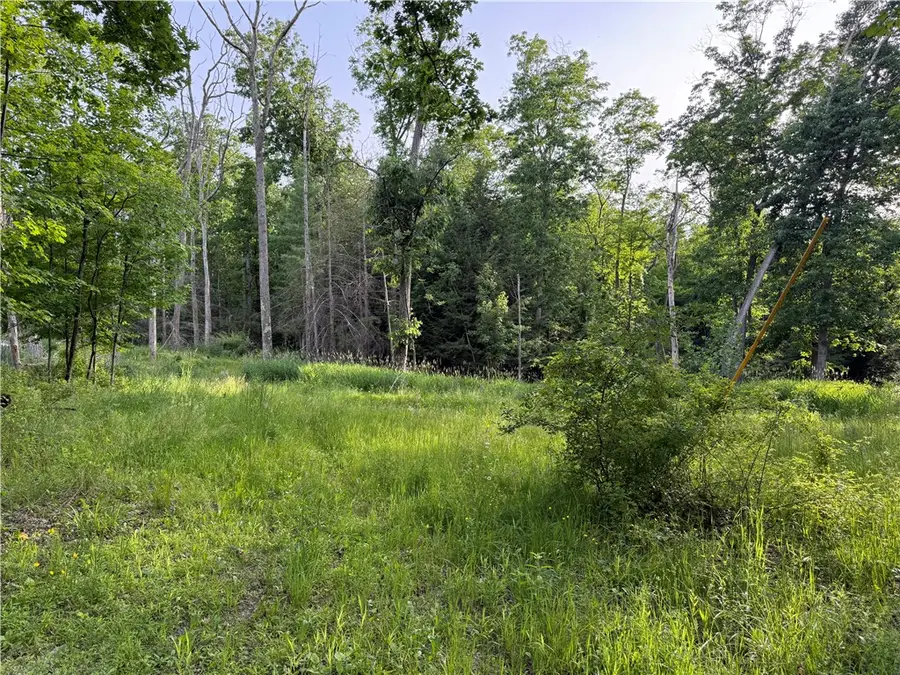 Cronk Hill Road, Fillmore, NY 14735 - #3