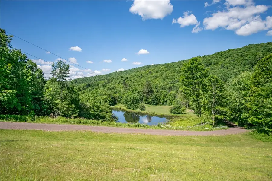 147 Miller Path, Delhi, NY 13753 - #2
