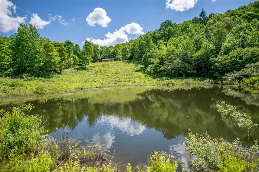 147 Miller Path, Delhi, NY 13753 - #3