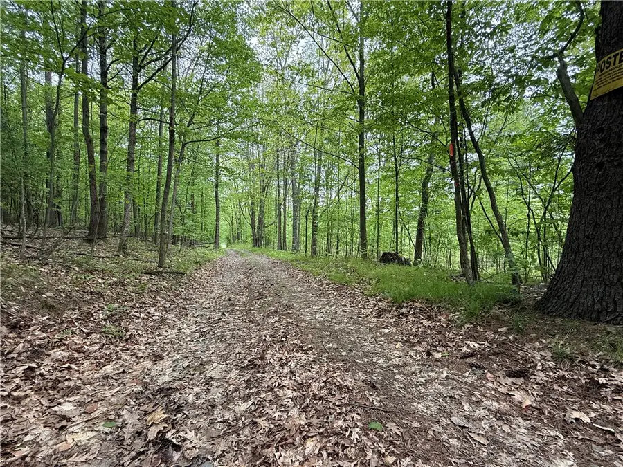 Hawley Road, Bradford, NY 14815 - #3