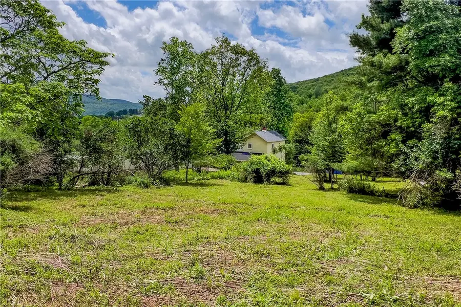 Franklin Street, Delhi, NY 13753 - #2
