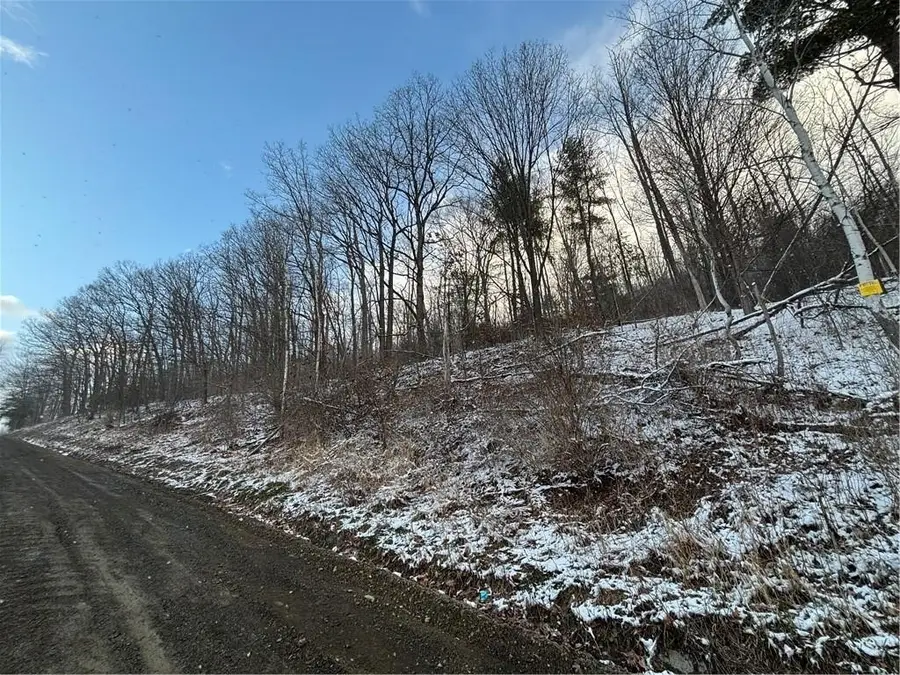 Obrien Road N, Savona, NY 14879 - #3