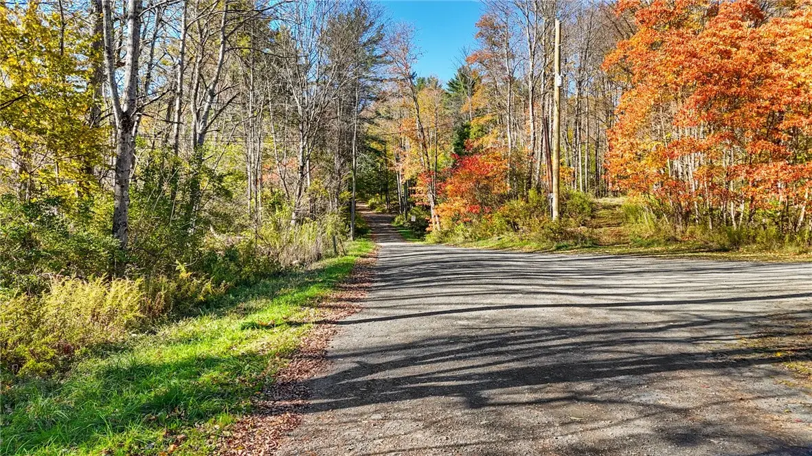 Deputron Hollow Road, Brooktondale, NY 14817 - #1