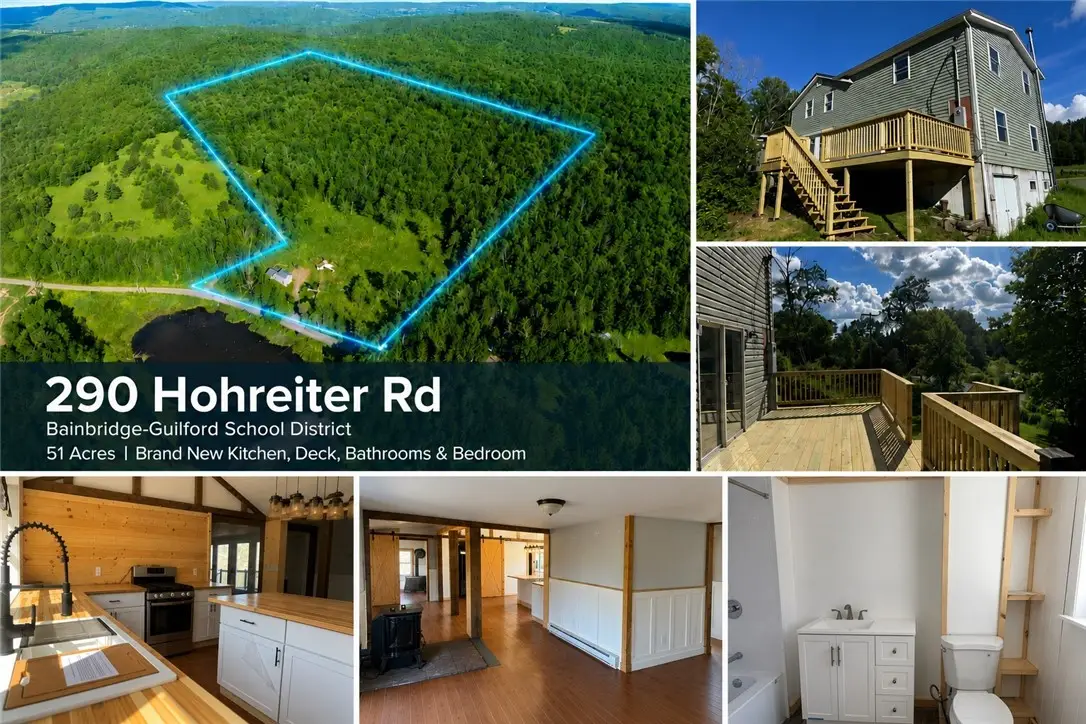 290 Hohreiter Road, Bainbridge, NY 13733 - #1