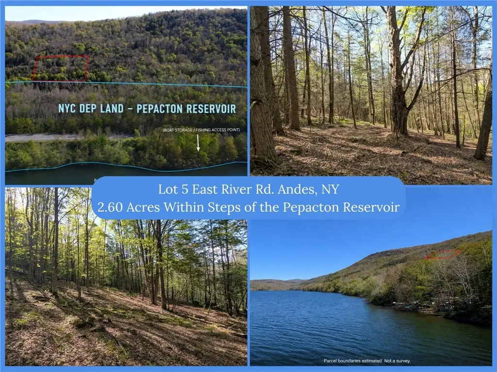 Lot 5 East River Road, Andes, NY 13731 - #1