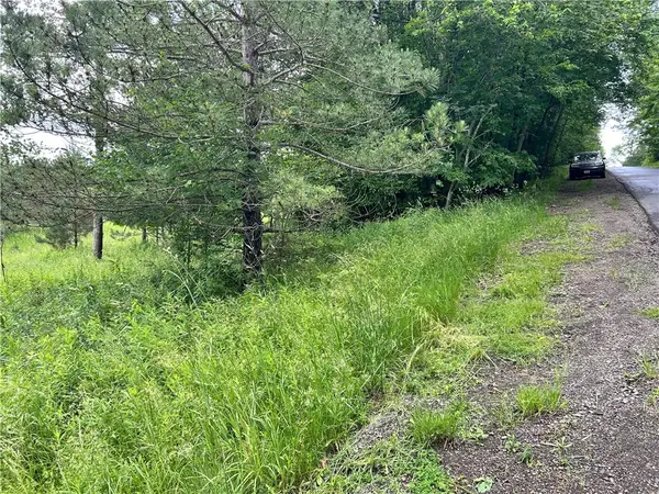Mary Brown Hill Road, Laurens, NY 13796