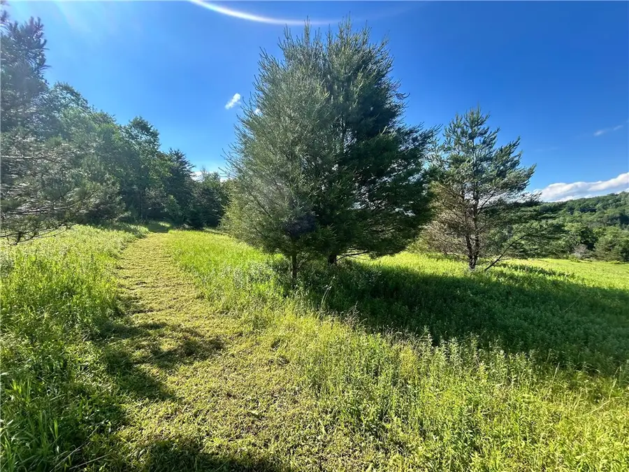 Mary Brown Hill Road, Laurens, NY 13796 - #2
