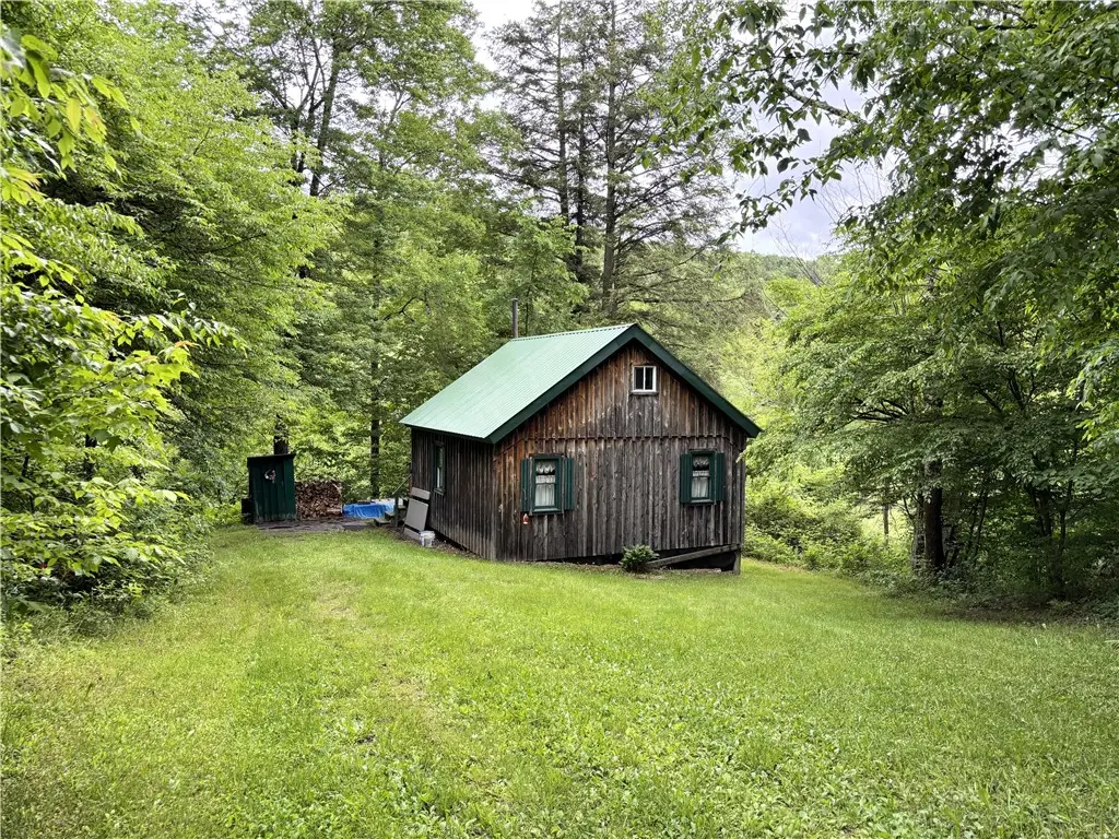 Lot #4.233 County Road 13, Otselic, NY 13072 - #1