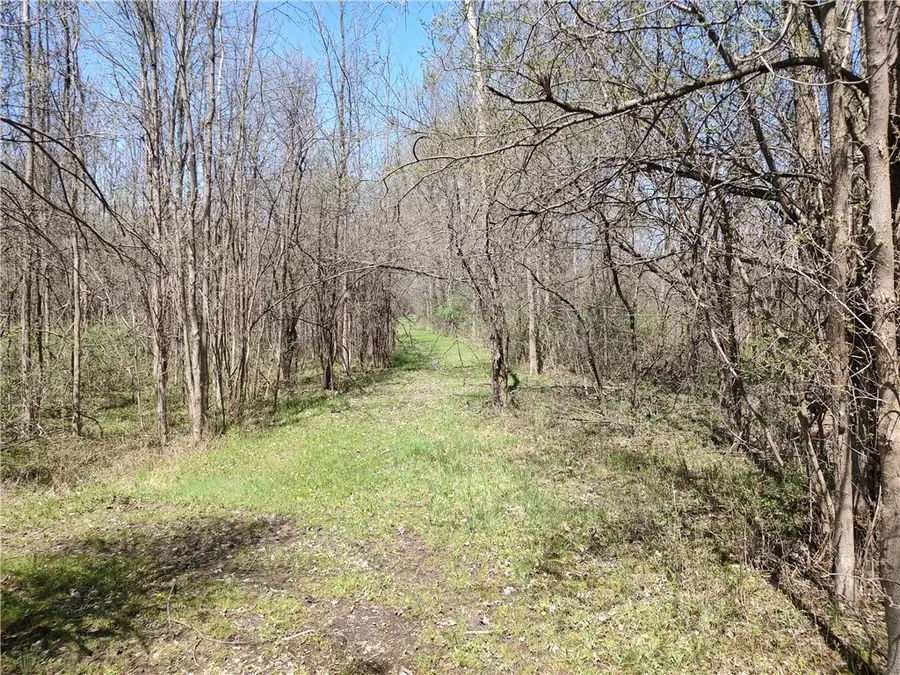 Clinton Street, Seneca Falls, NY 13148 - #2