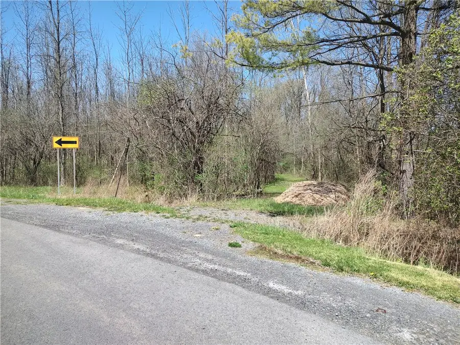 Clinton Street, Seneca Falls, NY 13148 - #3