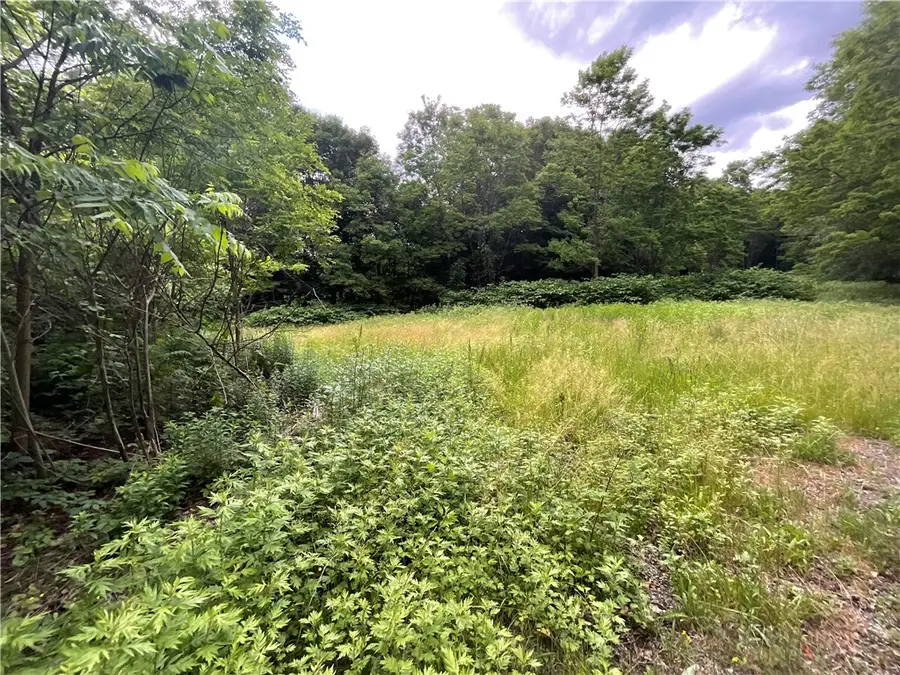 7537 East Avenue, Springwater, NY 14560 - #2