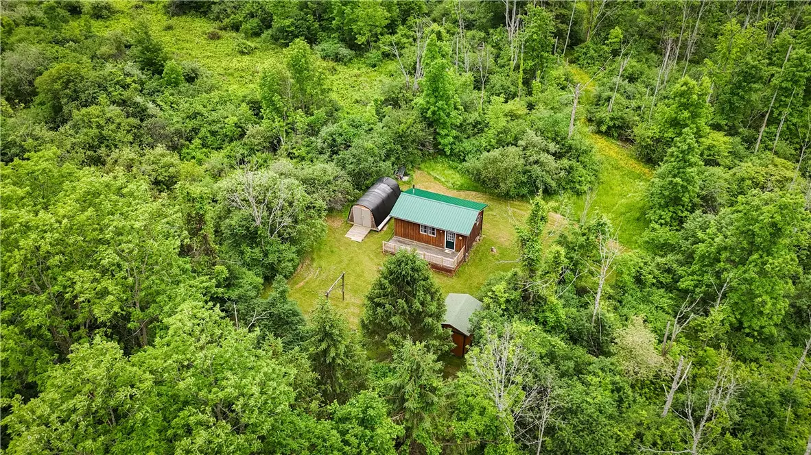 5401 Old Bath Road, Dundee, NY 14837 - #1
