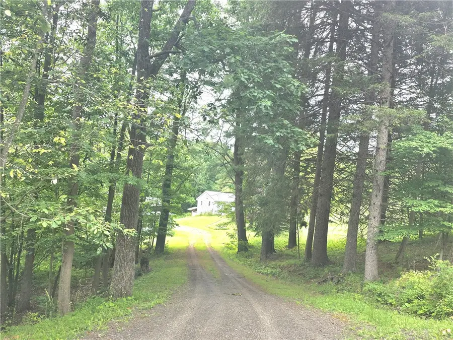 171 Haskins Road, Erin, NY 14838 - #2