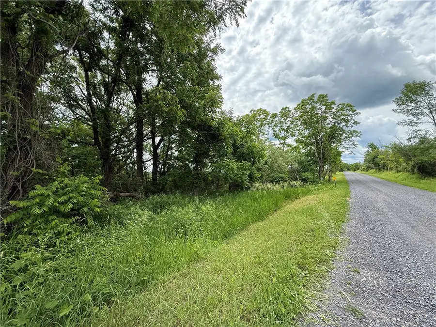 Tucker Road, Trumansburg, NY 14886 - #3