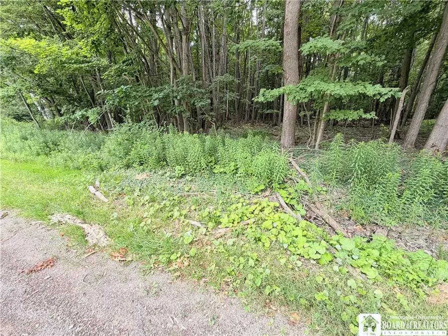 00 Panama-stedman Road, Mayville, NY 14757 - #2