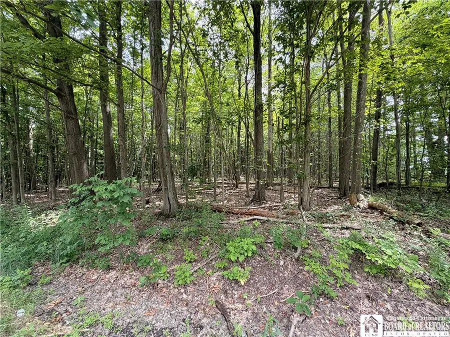 00 Panama-stedman Road, Mayville, NY 14757 - #3