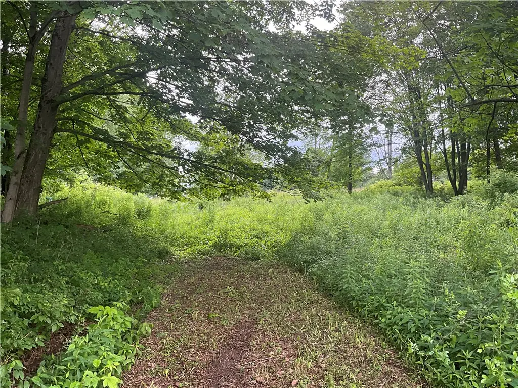 0 Stauber Rd, Groton, NY 13073 - #1