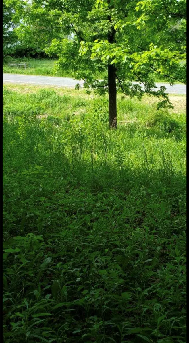 0 Stauber Rd, Groton, NY 13073 - #2