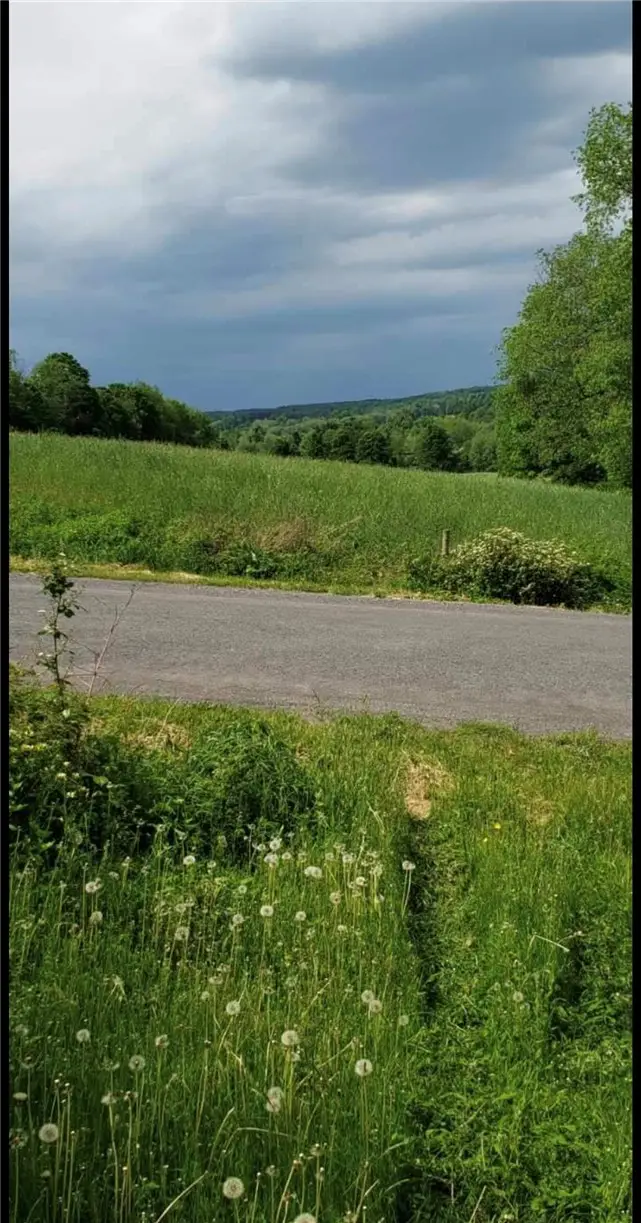 0 Stauber Rd, Groton, NY 13073 - #3