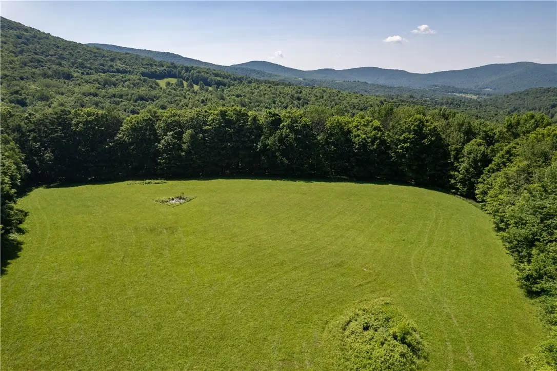 Lot 43 Tower Mountain Road, Stamford, NY 12167 - #1