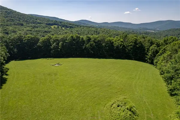 Lot 43 Tower Mountain Road, Stamford, NY 12167