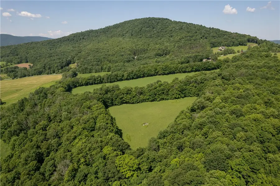 Lot 43 Tower Mountain Road, Stamford, NY 12167 - #2