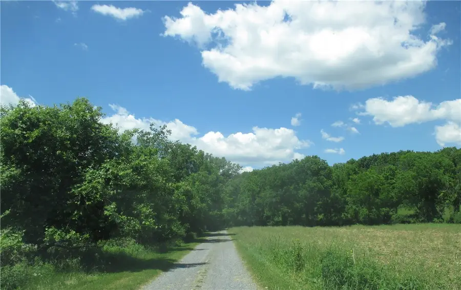3560 Silvernail Road, Bloomfield, NY 14469 - #2