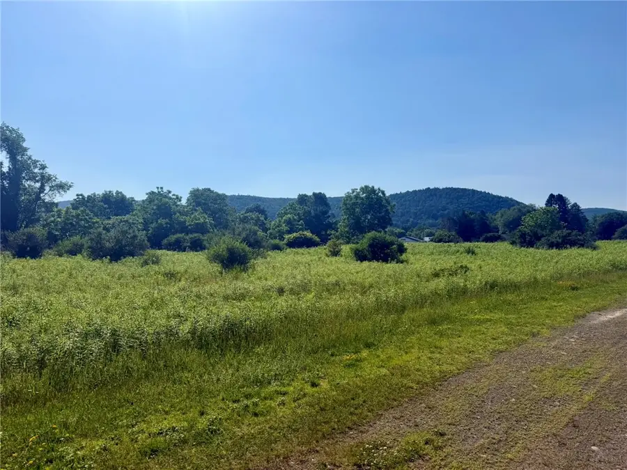 Memory Lane, Otego, NY 13825 - #2