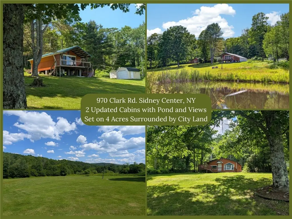 970 Clark Road, Masonville, NY 13804 - #1