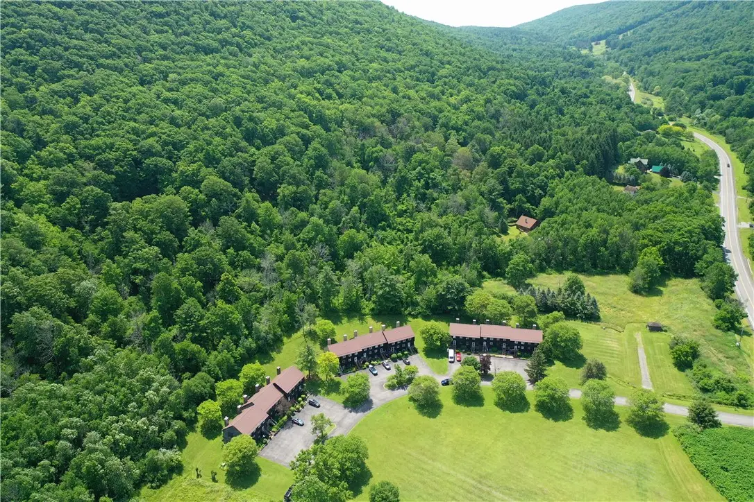 7 Pinewood Lane, Naples, NY 14512 - #1