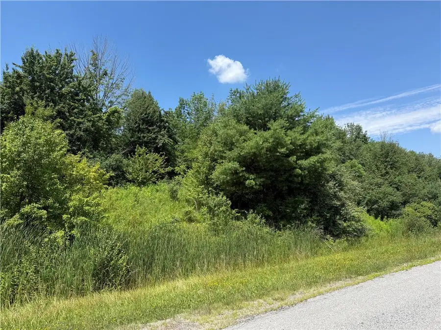 0 Mcnair Road, Dansville, NY 14437 - #2