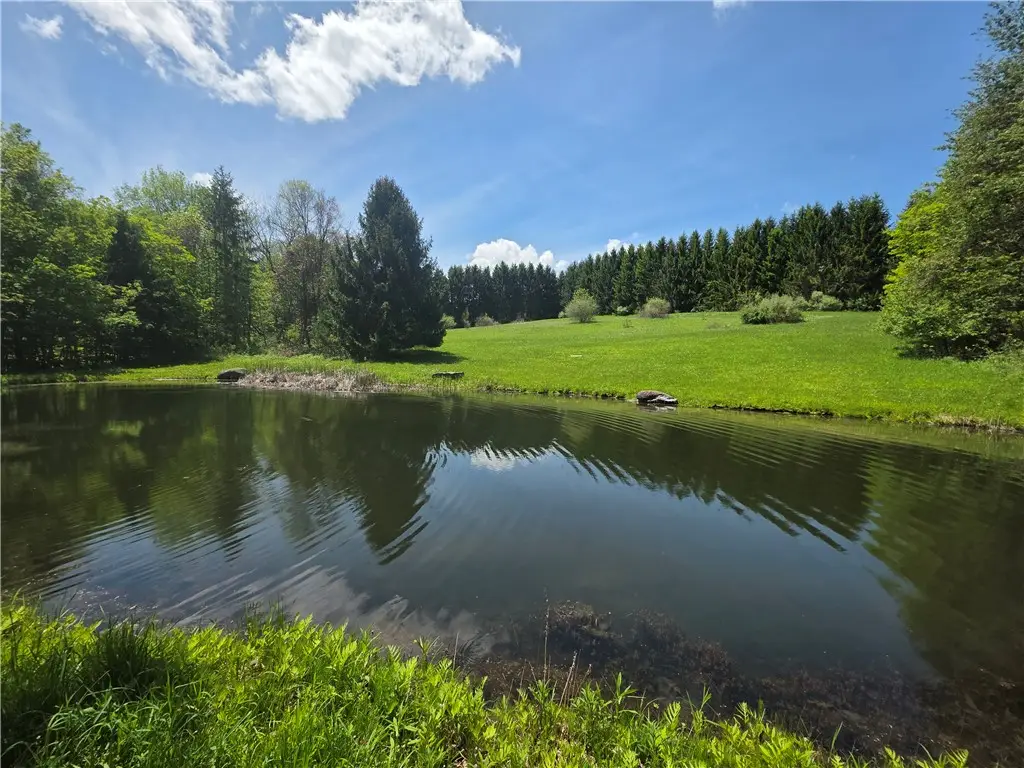 0 Lanning Road, Naples, NY 14512 - #1