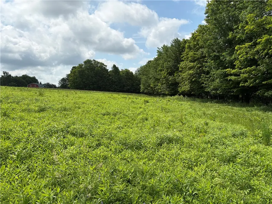 22.28 Swantak Road, Kortright, NY 13842 - #2