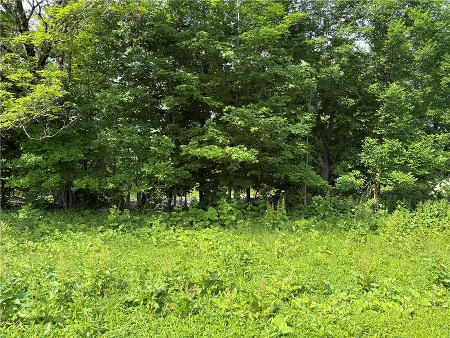 22.28 Swantak Road, Kortright, NY 13842 - #3
