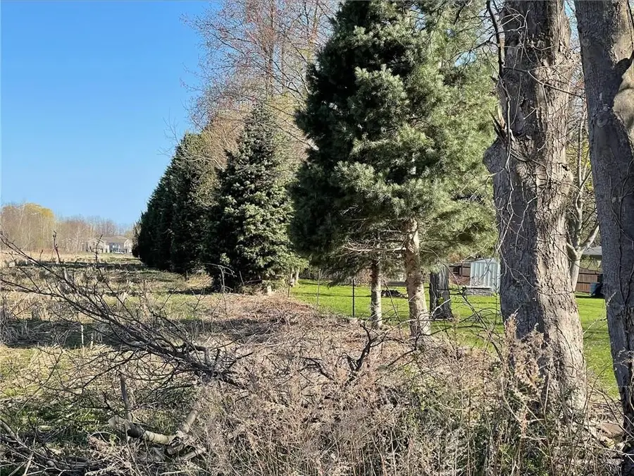 00 Division St, Palmyra, NY 14522 - #3