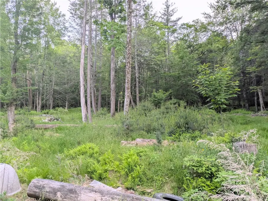 Blueberry Hill Road, West Shokan, NY 12461 - #3
