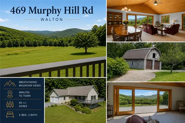 469 Murphy Hill Road, Walton, NY 13856