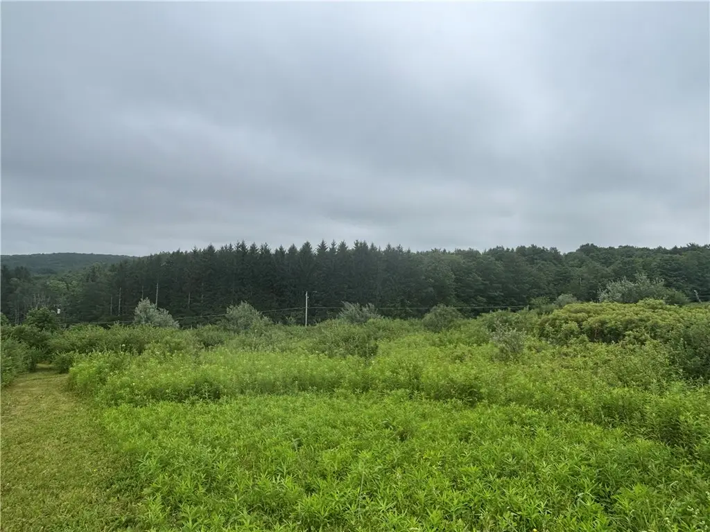Lot 1 County Route 46, Dansville, NY 14437 - #1