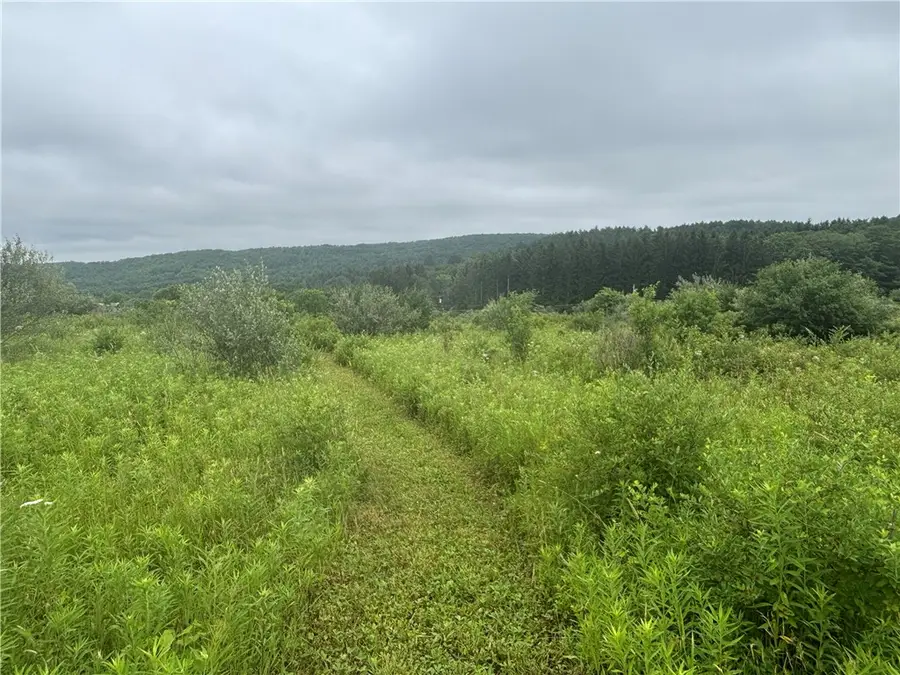 Lot 1 County Route 46, Dansville, NY 14437 - #2