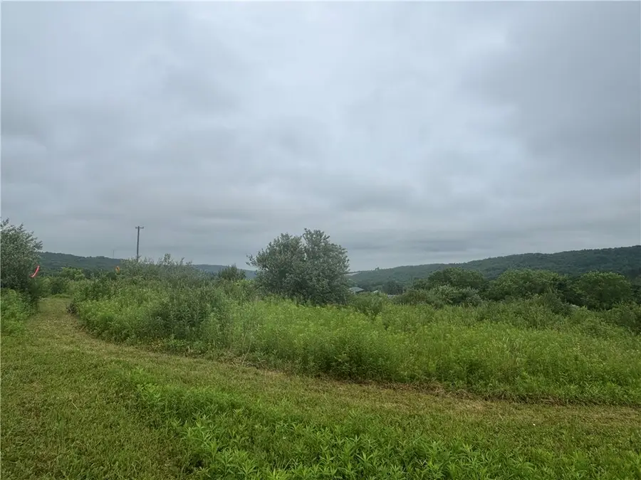 Lot 1 County Route 46, Dansville, NY 14437 - #3