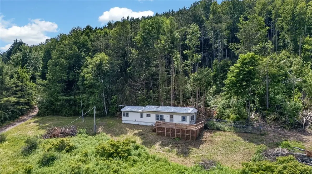 118 Lookout Drive, Charlotteville, NY 12036 - #1